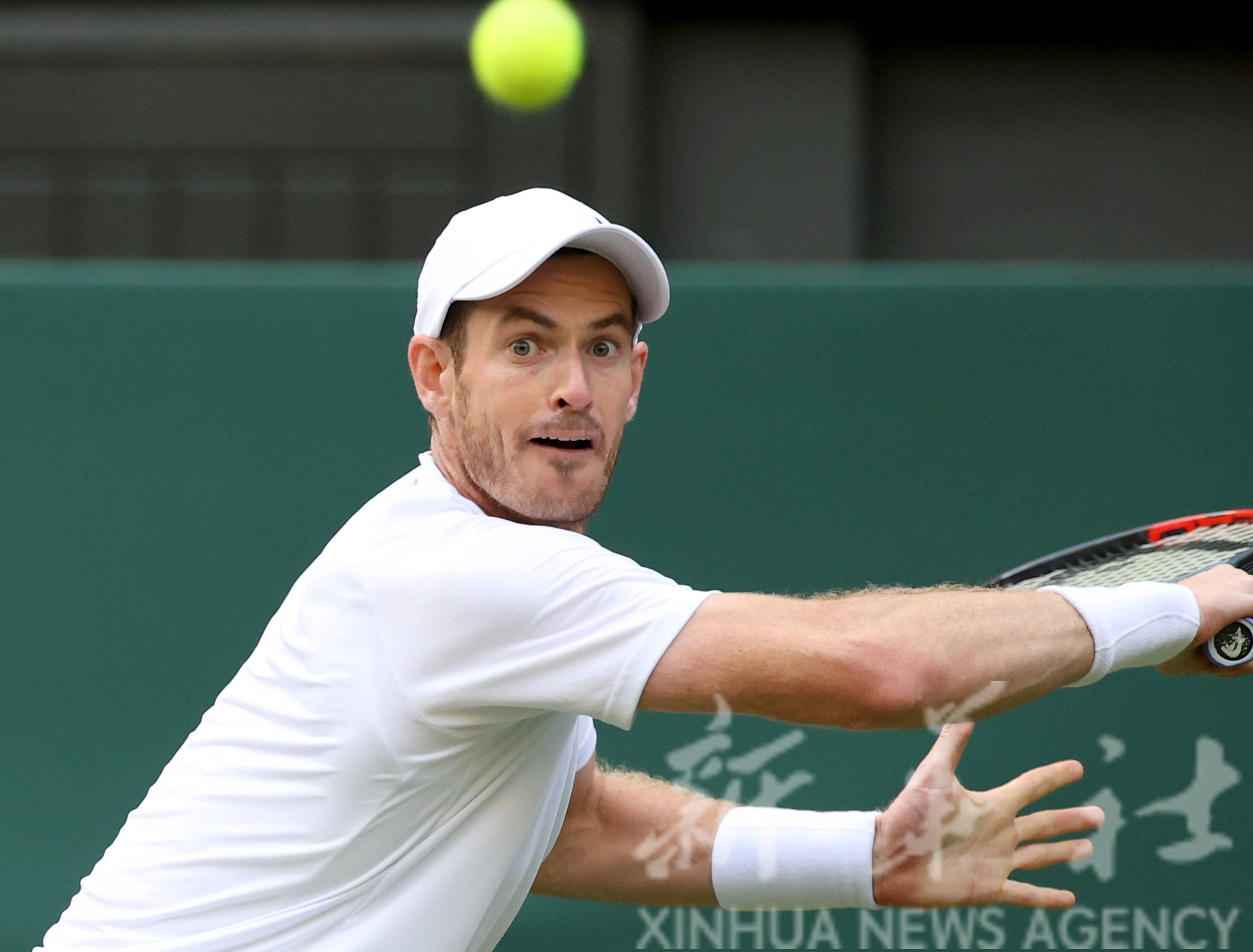 温网翻盘拉沃尔杯,穆雷惊艳四座 温网翻盘拉沃尔杯,穆雷惊艳四座