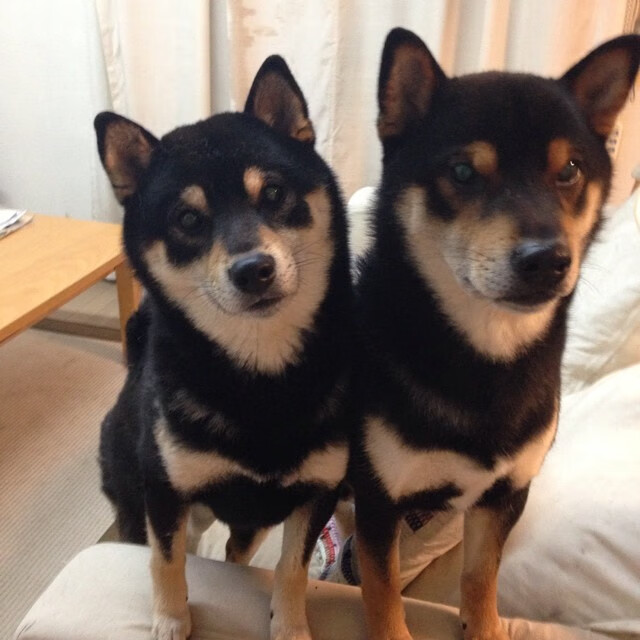 同夜对决,枪手锁喉曼城,活塞绞杀76人—体育世界里,没有什么是理所当然的