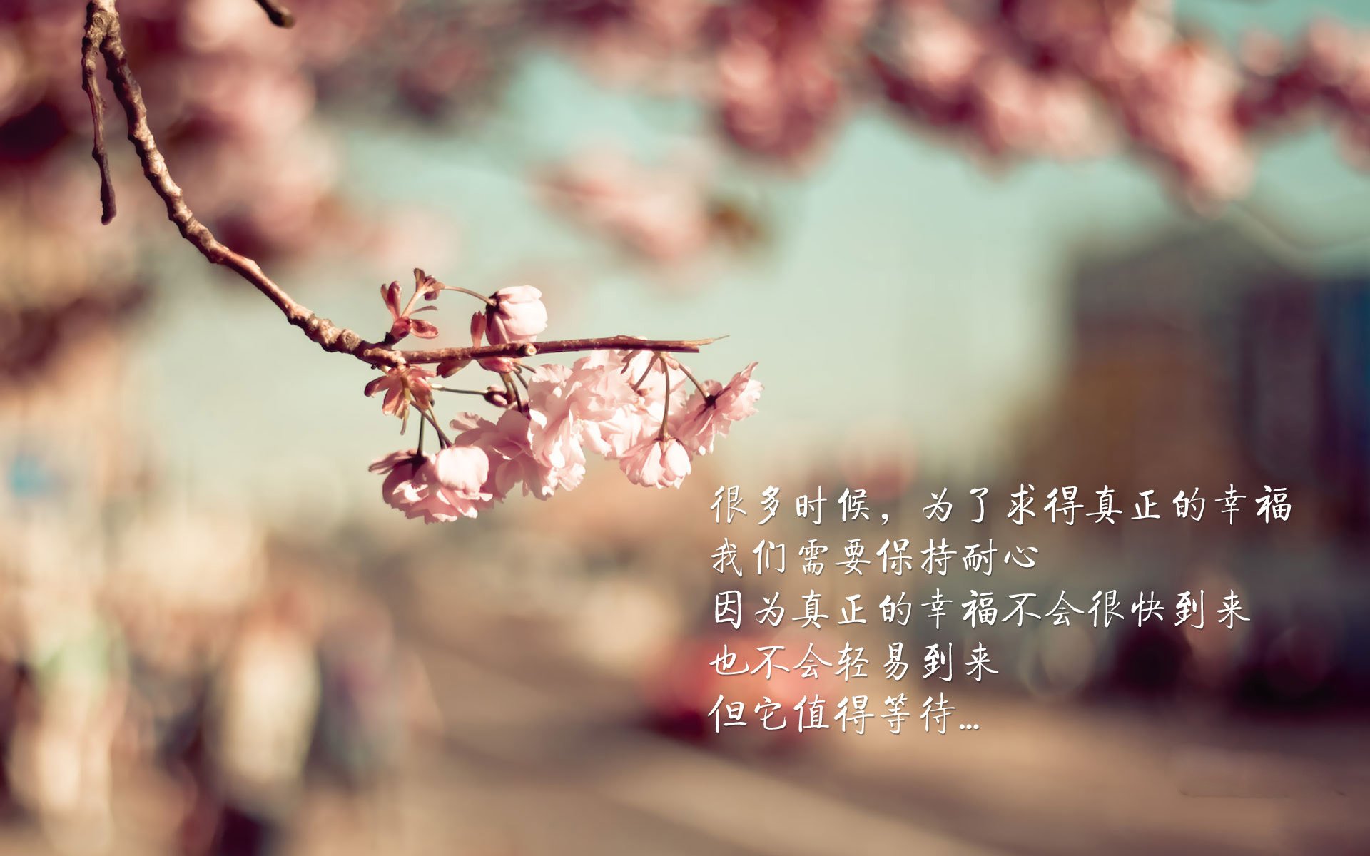 唯一的路，山西队跨洋之战力克鹈鹕，关键先生保罗的荣耀归途