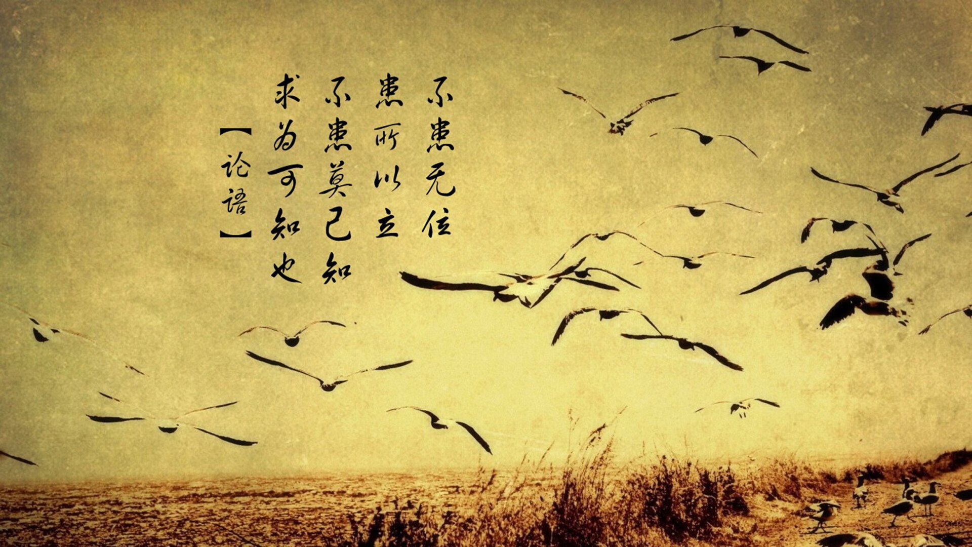 独舞者，费利克斯撕裂瑞士军刀的精密困局