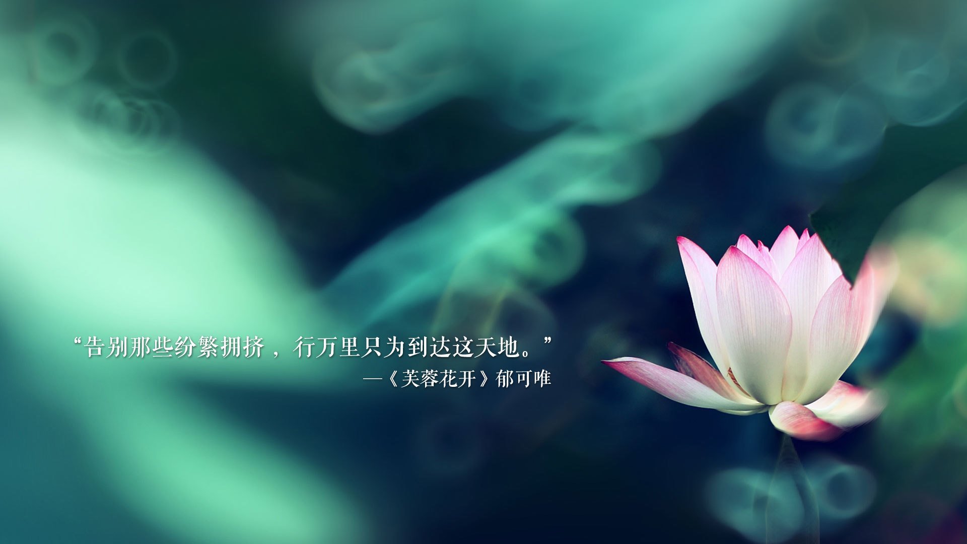 碾压与神迹，2026世界杯B组，葡萄牙狂攻下的穆西亚拉致命一击与门将神勇